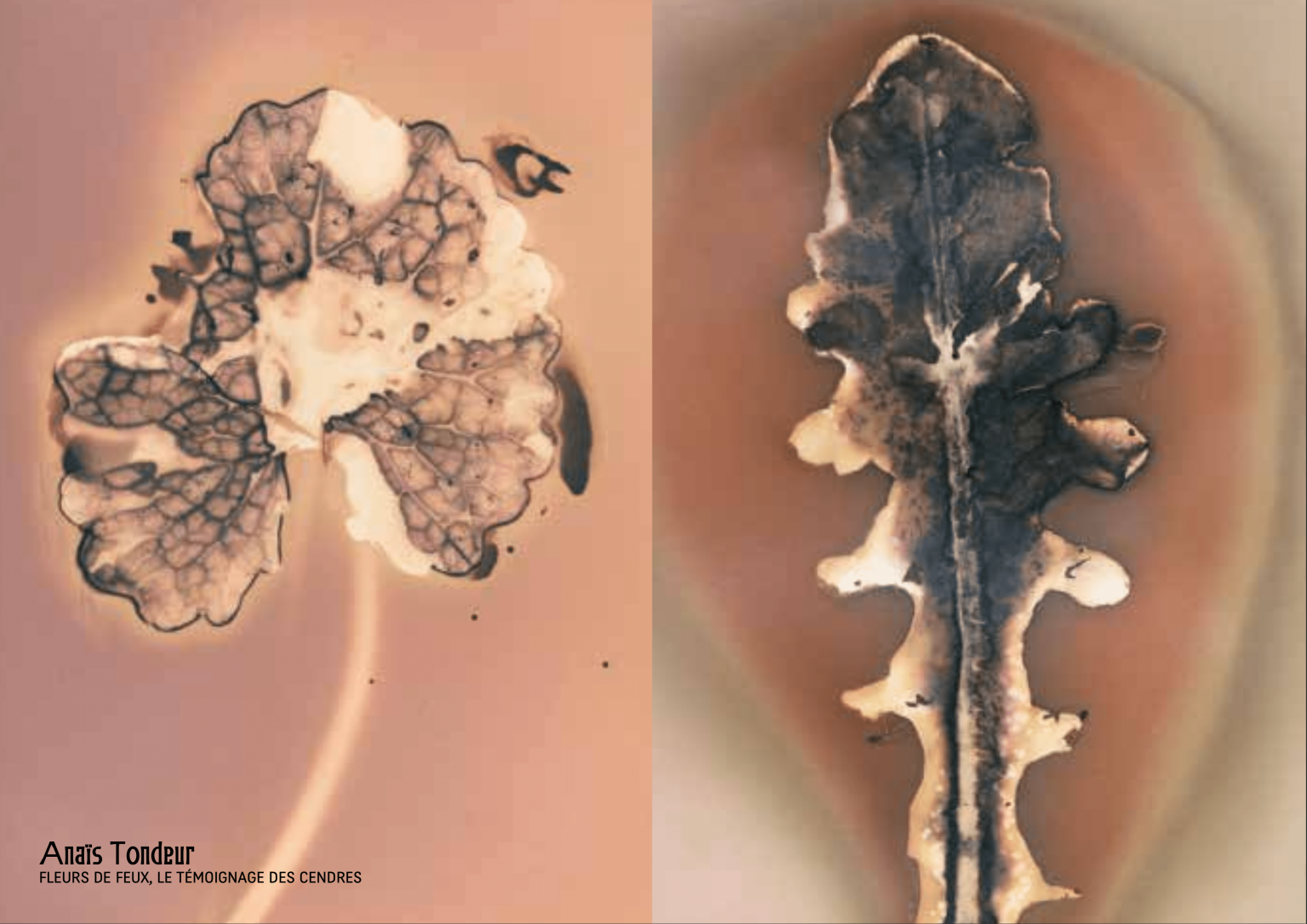 Capture dÔÇÖe╠ücran 2025-04-16 a╠Ç 18.54.13-min
